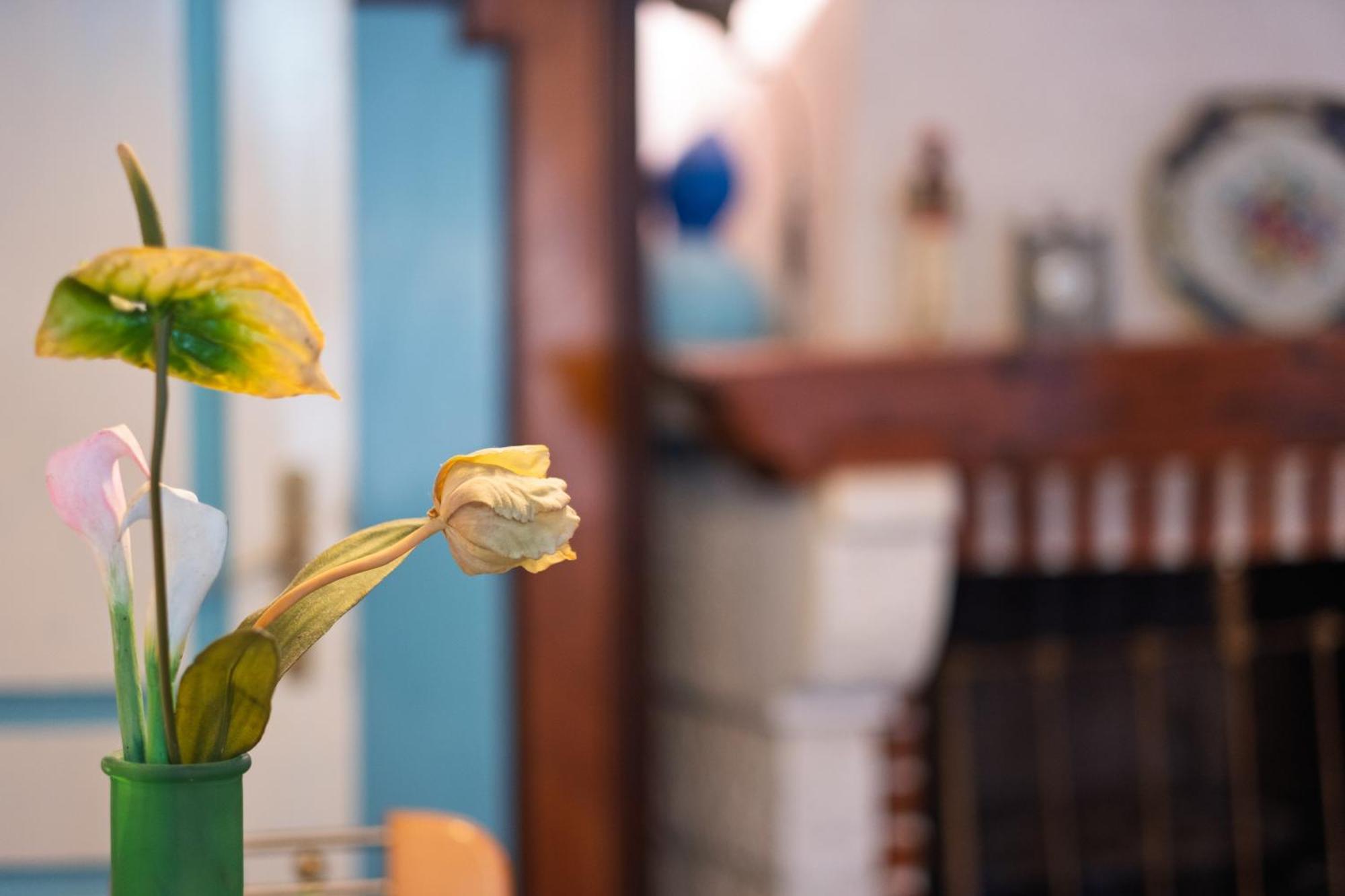 Bluemarine Rooms & Apartments Perast Bagian luar foto